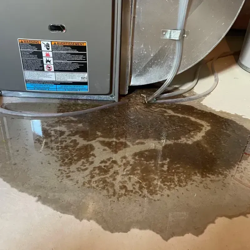 Appliance Leak Cleanup in Eads, CO